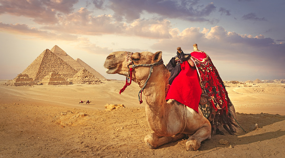 EGYPT NEW YEAR TOUR PACKAGES